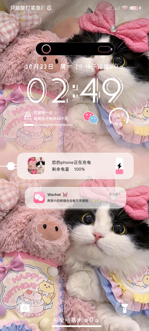 双拼甜心猪咪 screenshot