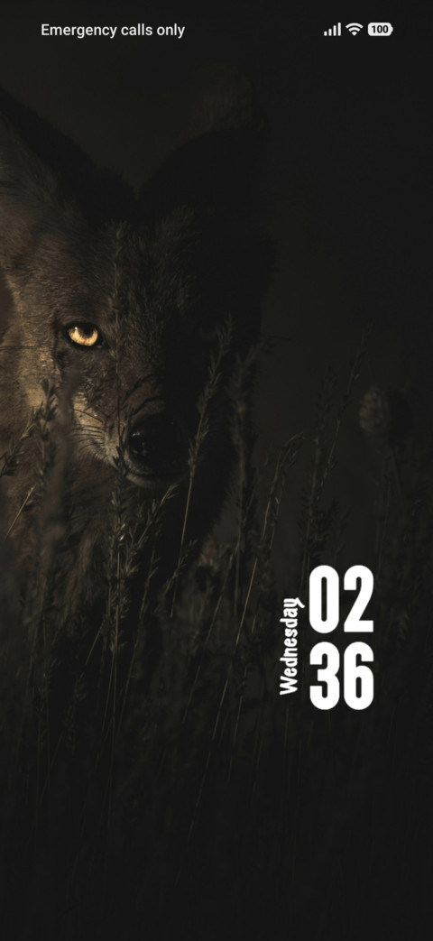 Jackal screenshot