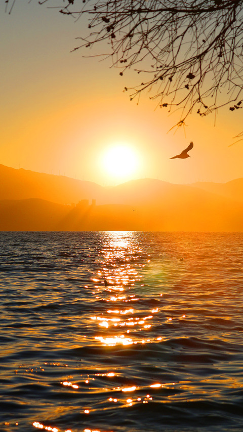 Sunrise and seagulls screenshot