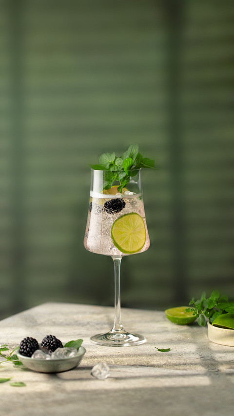 Gin And Tonic Cocktail with Fresh Mint screenshot