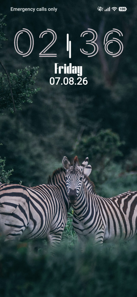 Zebra screenshot