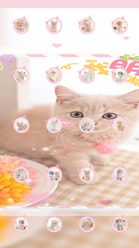 快乐小萌猫 screenshot