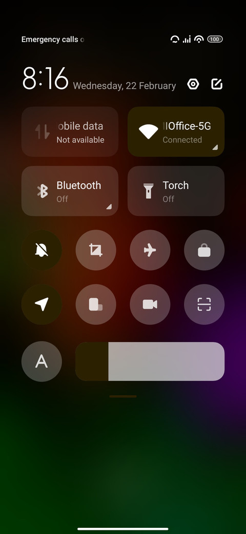 Tulips screenshot