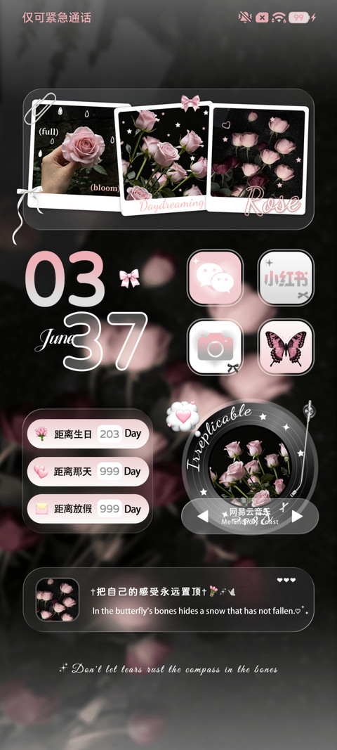 ins玫瑰序章 screenshot