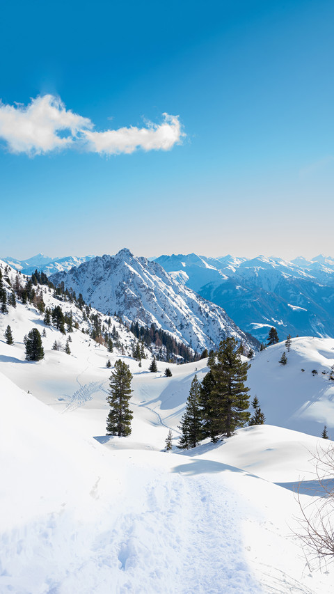 Winter snow screenshot