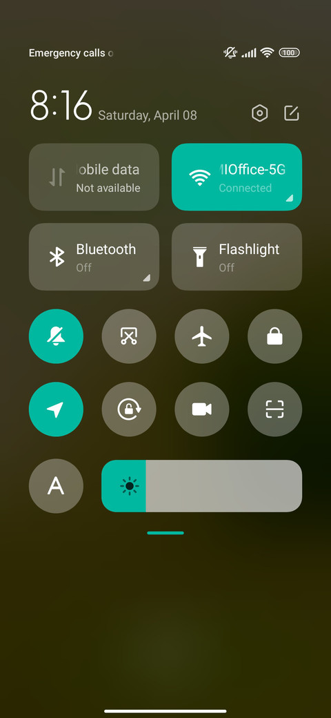 beach leaf screenshot