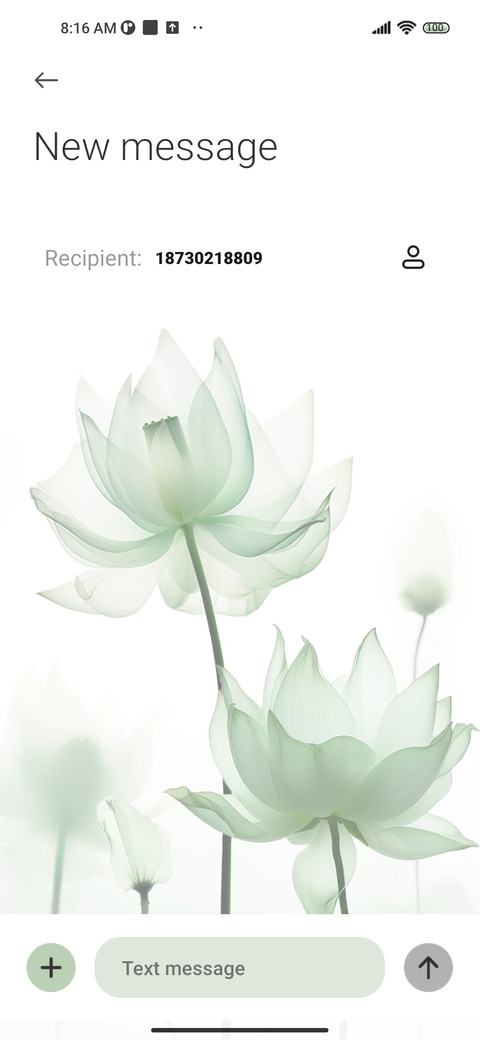 Green lotus leaves screenshot