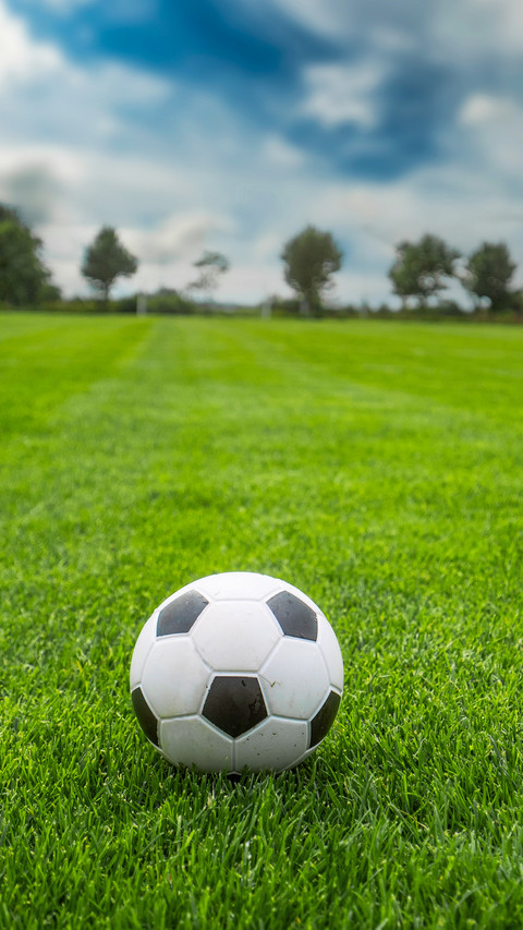 soccer ball onfreshly cut grass of training field screenshot