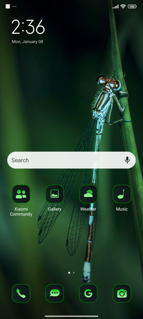 leaves insect screenshot