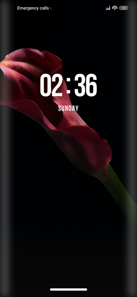 Closeup screenshot