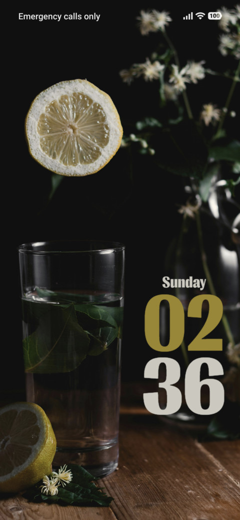 Sliced Lemon screenshot