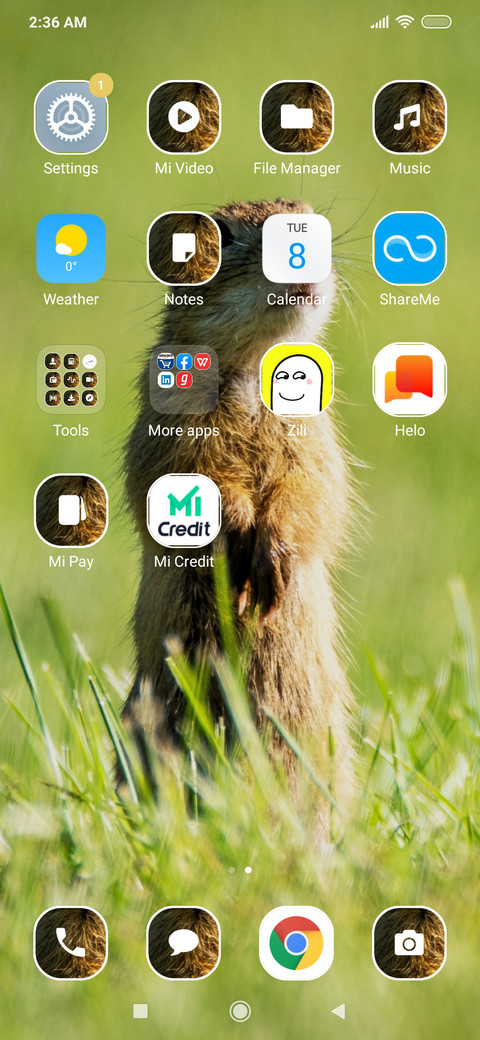 Rodents_3MDS screenshot