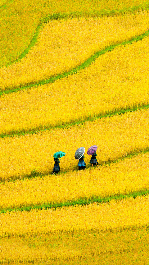 Cross border tourism between china and vietnam continues screenshot