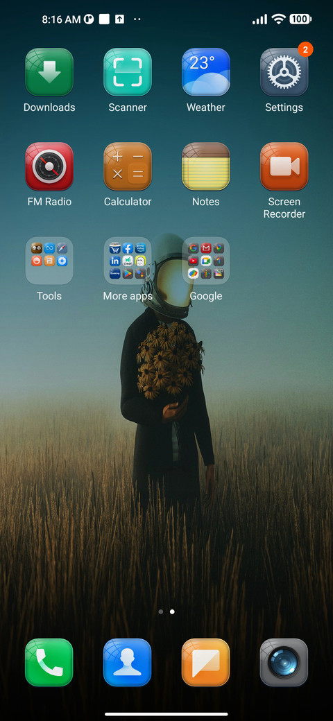 FyM v11 screenshot