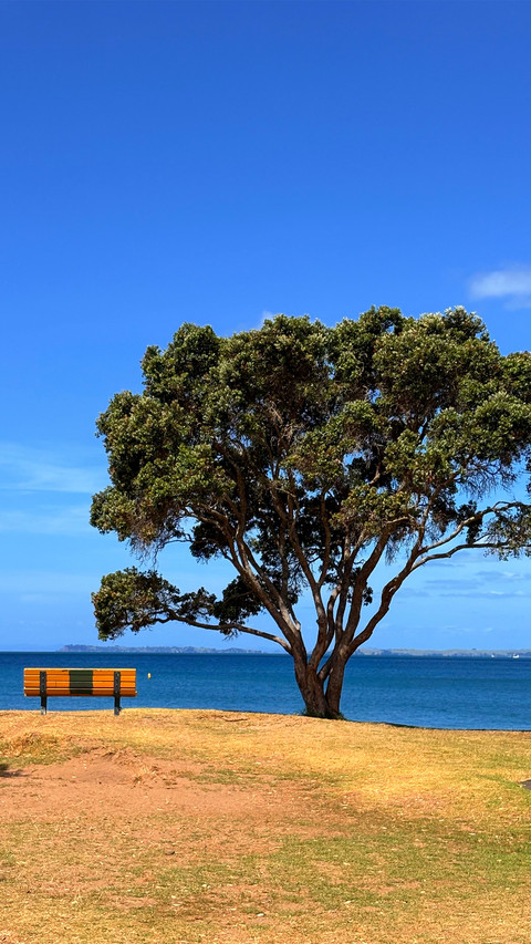 The tree chair by the seaside screenshot