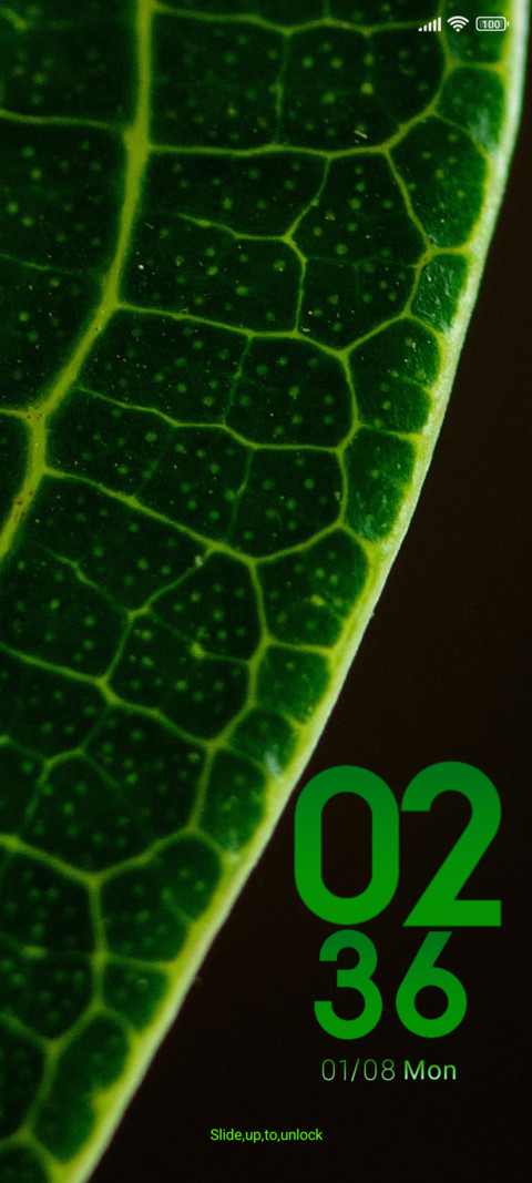 macro leaf screenshot