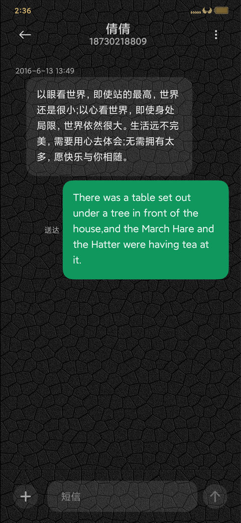 轻奢龙纹 screenshot
