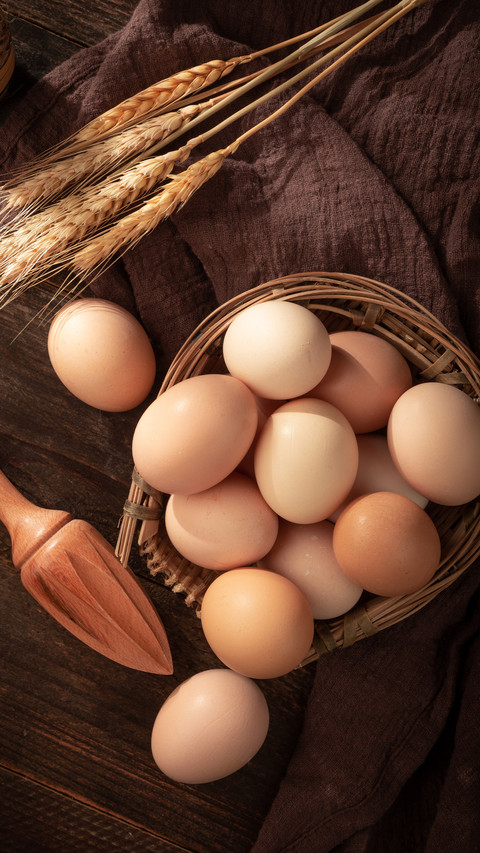 Is the white shell of an egg better or the red shell screenshot