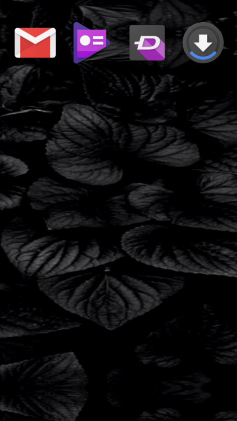 Black Roses_DWM19 screenshot