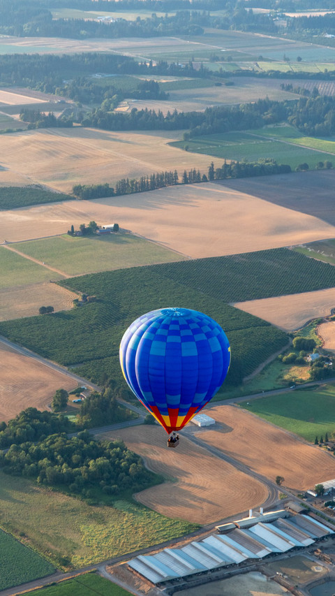 Hot air balloon and landscape high angle view screenshot