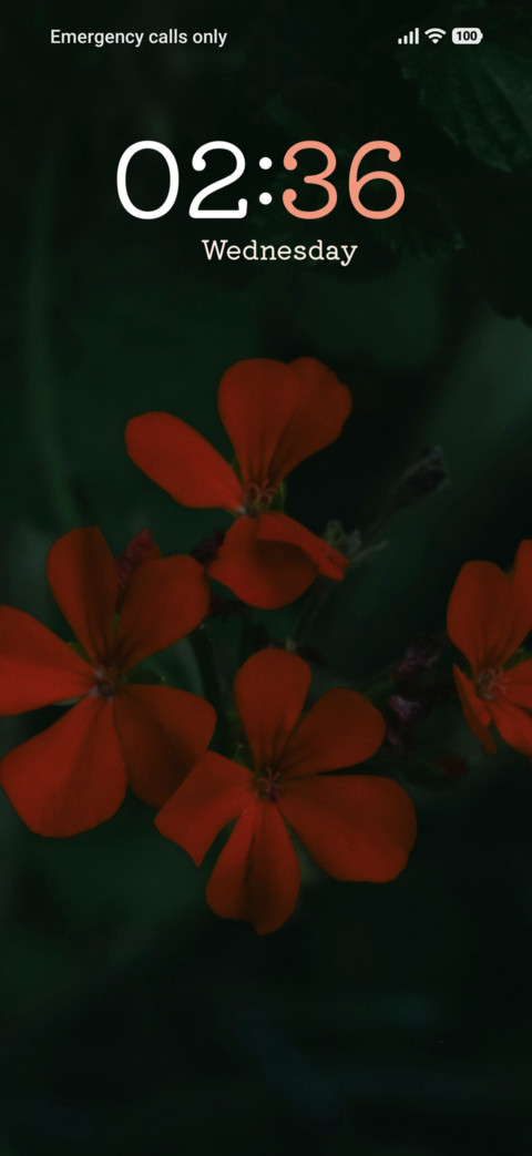 Scarlet Field screenshot