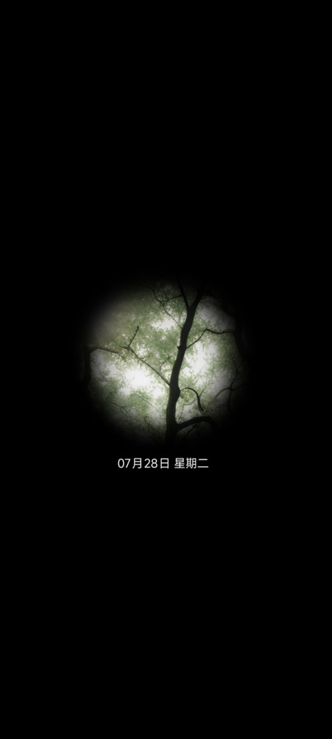 夏的静帧 screenshot
