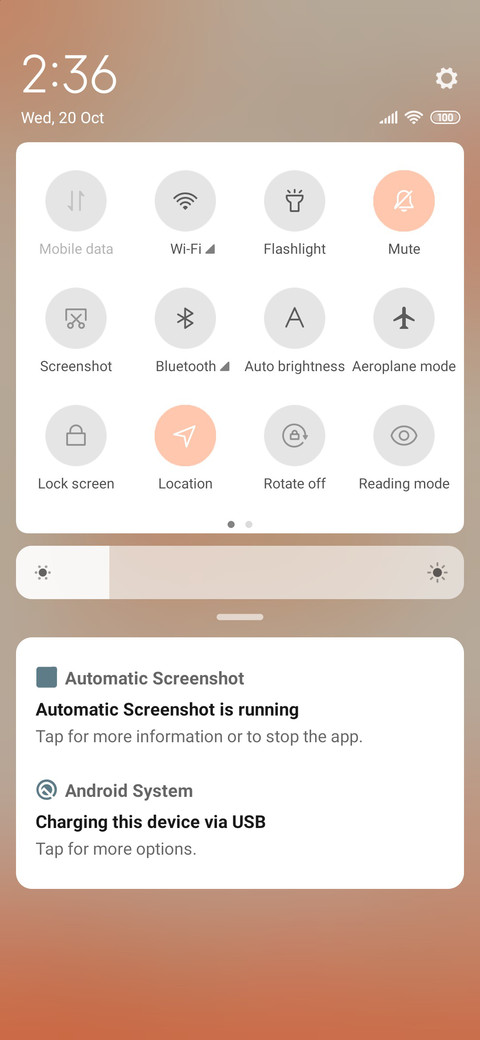 Persimmon screenshot