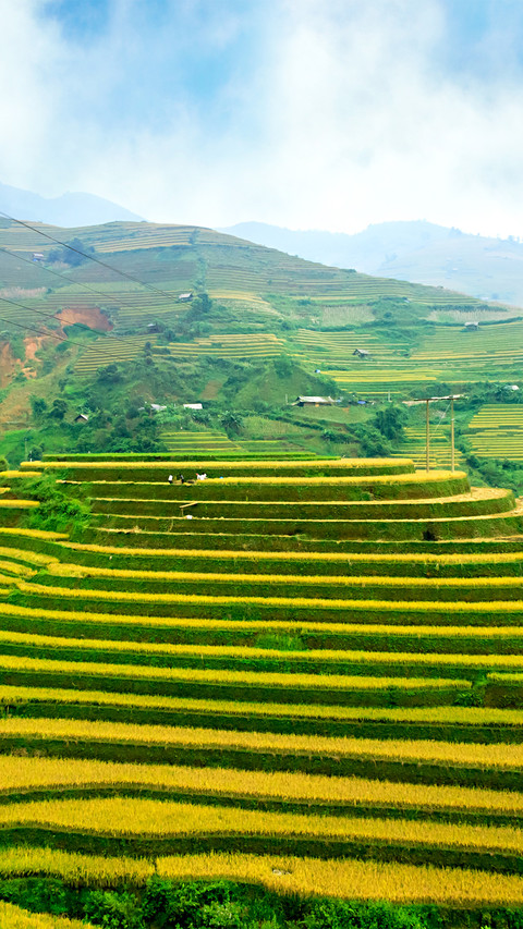Beautiful Terraces screenshot
