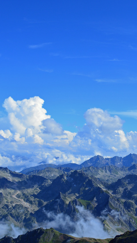 112002_1440x2560.jpg screenshot