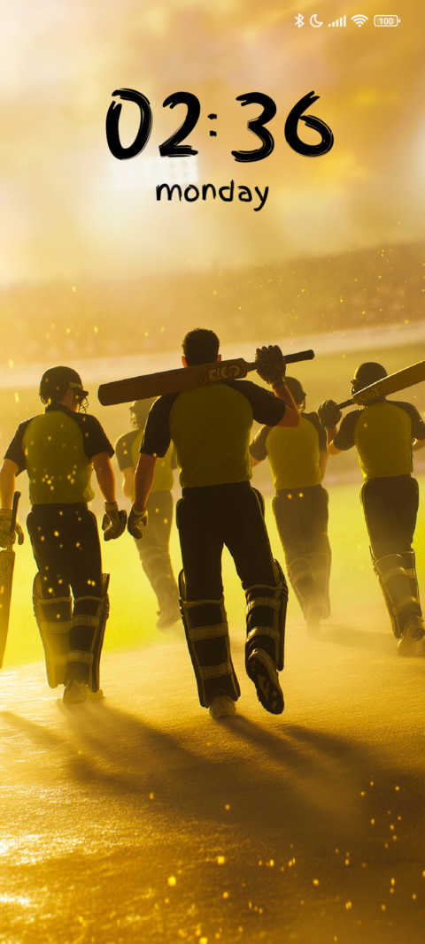 Cricket Storm screenshot