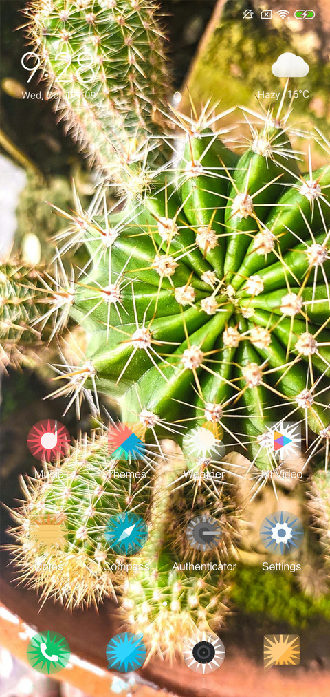 Cactus_DWM2 screenshot