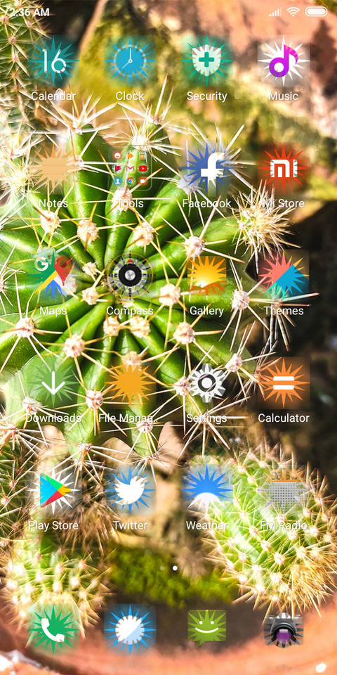 Cactus_DWM2 screenshot