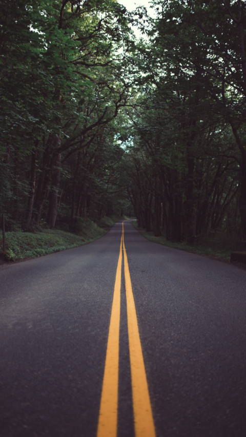 Roads (8) screenshot