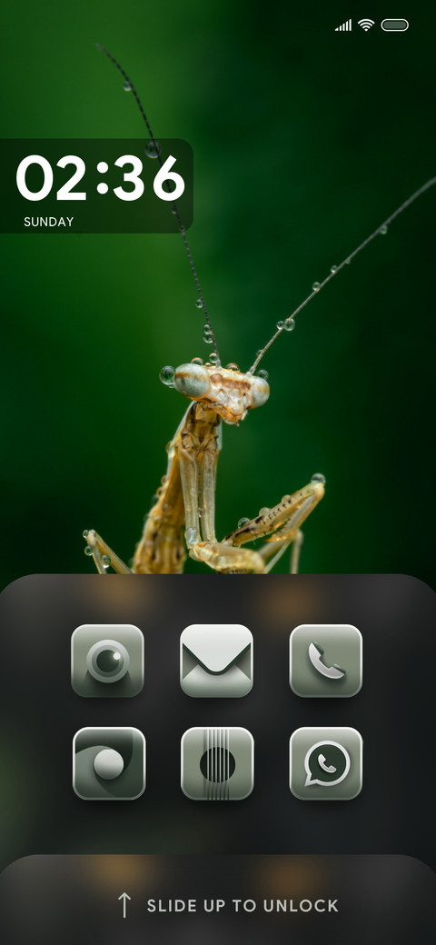 Wildlife_Mantis screenshot