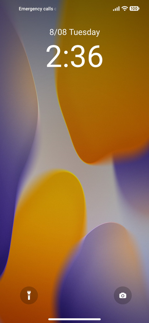 FyM v11 screenshot