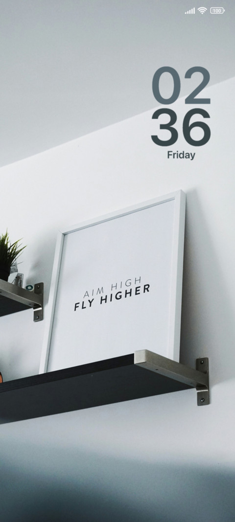Fly High screenshot