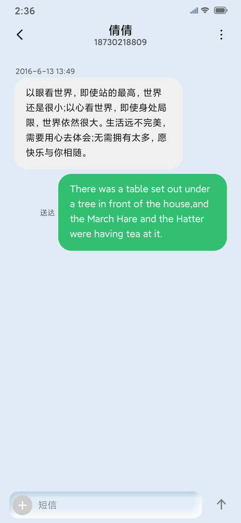 轻拟态 screenshot