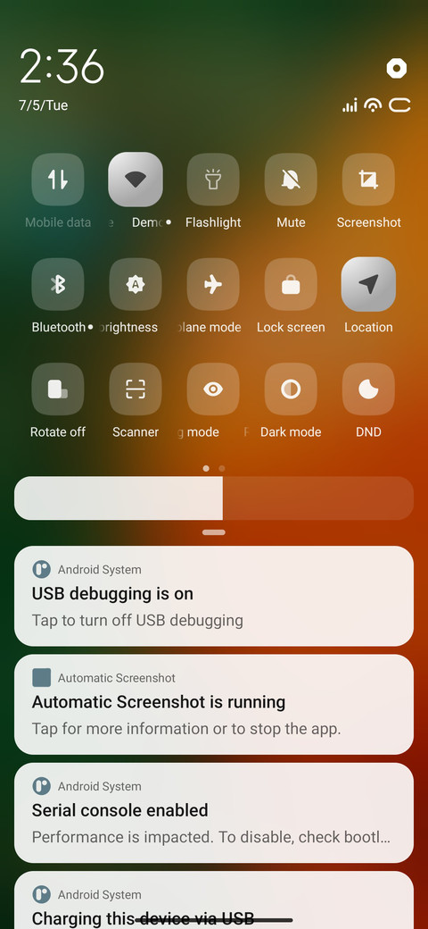 Orange Flower screenshot