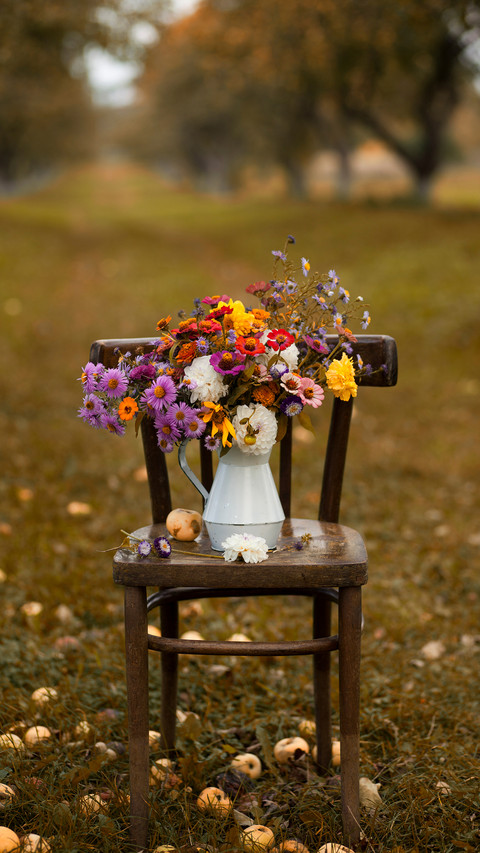 A Bouquet of Autumn Flowers in the Garden screenshot