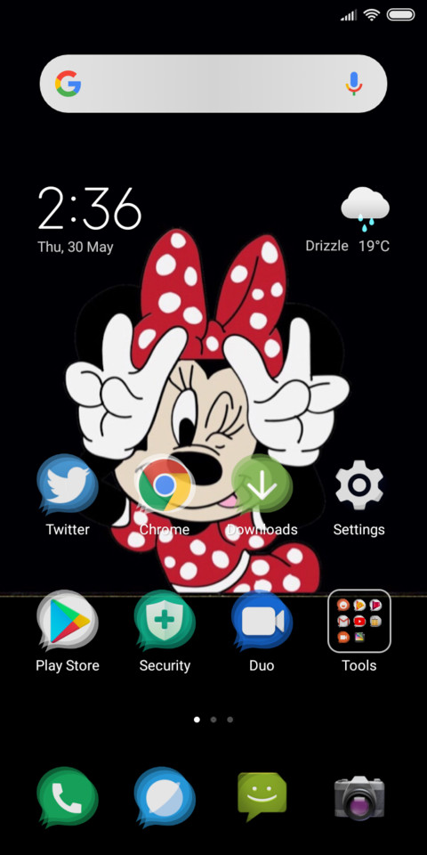 Minnie_DWM19 screenshot