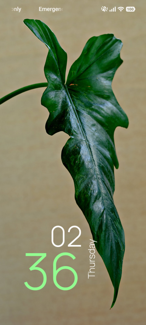 Emerald Anthurium screenshot