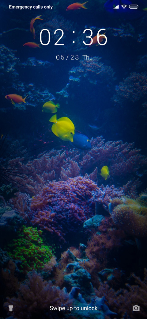 SeaLife_3MDS screenshot
