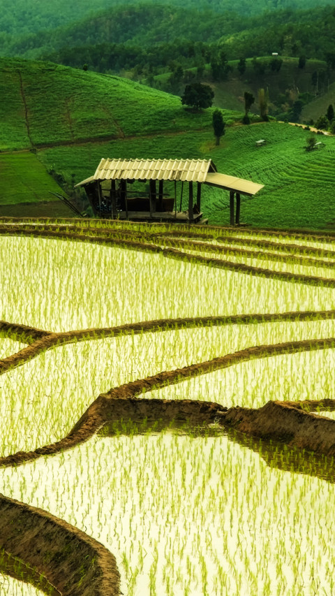 Beautiful Terraces screenshot