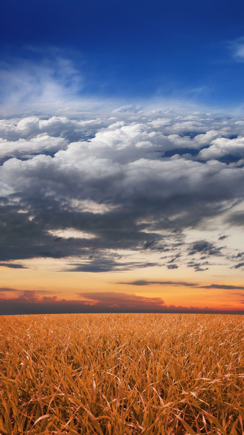 Farmland fields screenshot