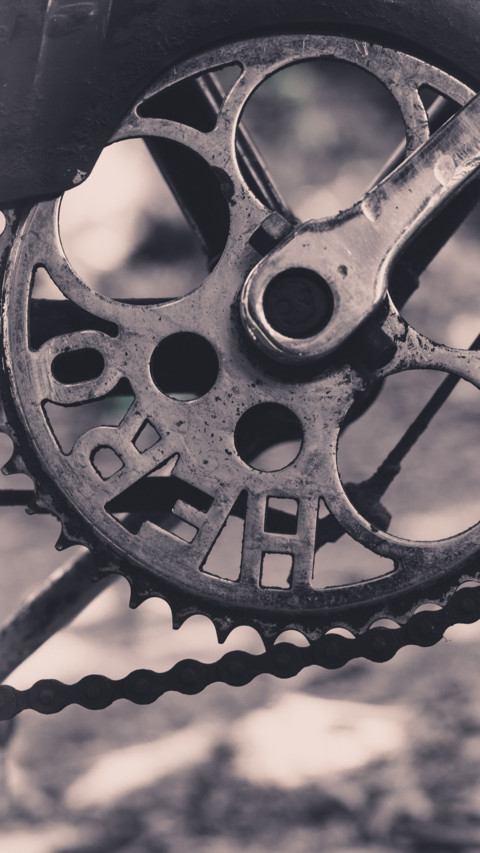 Bicycle (10) screenshot