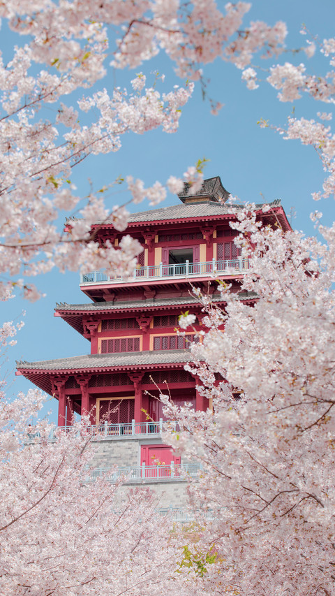 Spring Date with Zhengzhou 5 screenshot