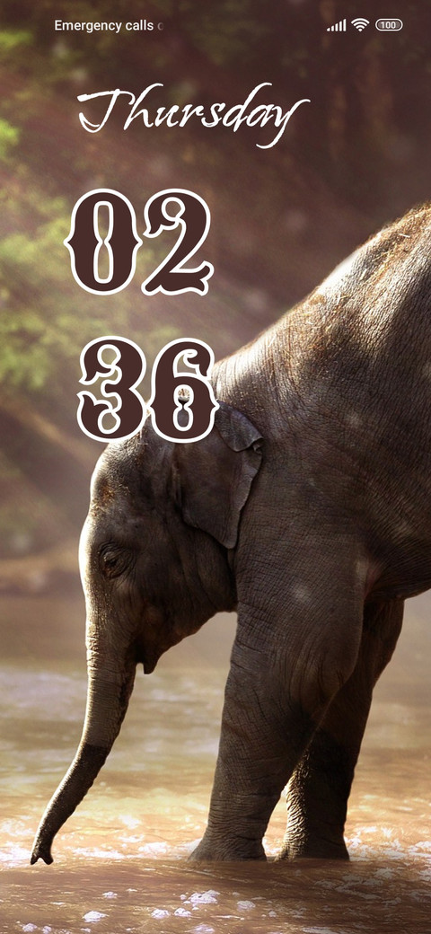 Elephant screenshot