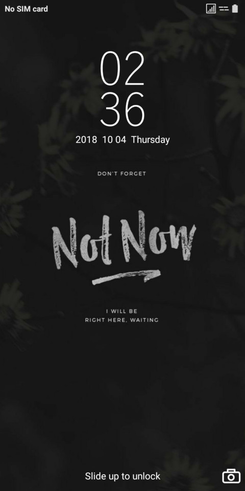 Night Flower v10 screenshot