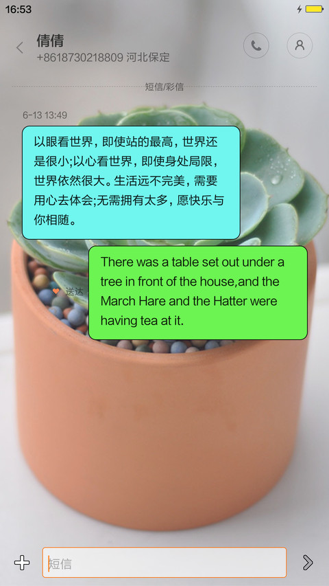 情不自禁爱上多肉植物。 screenshot