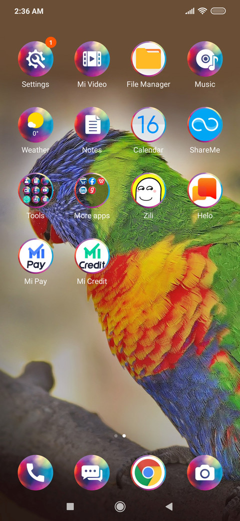 RainbowLorikeet_3MDS screenshot